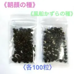 風船かずら種 100粒 - メルカリ