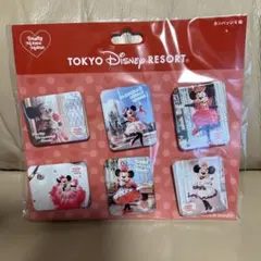 東京ディズニーリゾート トータリーミニーマウス 缶バッジ6個セットのサムネイル