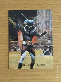 Item thumbnail for item 727ef159-b180-408e-b1f5-230066fff016