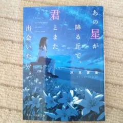 あの星が降る丘で、君とまた出会いたい。 小説