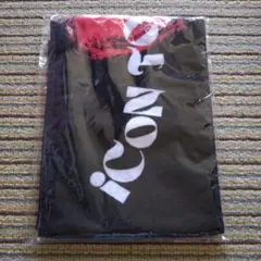 Item thumbnail for item c390886b-7fb0-4eca-ac10-c62dbd0950bb