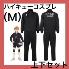 鳥野高校 排球部 上下セット Lサイズ　トラックジャケット ハイキュー‼︎ ics 鳥野高校排球部 ジャージ上下セット ハイキュー!!ジャージ上
