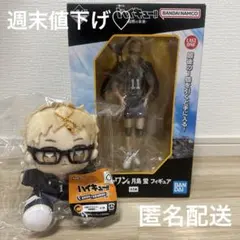 ハイキュー!! 月島蛍 一番くじ ラストワン賞 フィギュア タイトーくじC