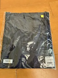 Item thumbnail for item debfa13d-0d0f-4e5f-81e2-044711955a42