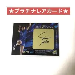 Item thumbnail for item dba27546-974e-4f74-aee7-ed4d8dbea1fb