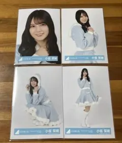 2025年最新】小坂菜緒 サンタの人気アイテム - メルカリ