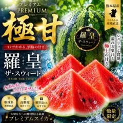 熊本県産 羅王ザ・スウィート プレミアムスイカ 8-10kg - メルカリ