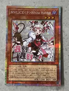 MVLICE<P>White Rabbit マリスボーンホワイトラビット