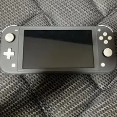 Nintendo Switch Lite グレー 本体　ジャンク扱い