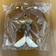 Item thumbnail for item c4b025c8-7bef-49cd-8bdf-40248afb4e25