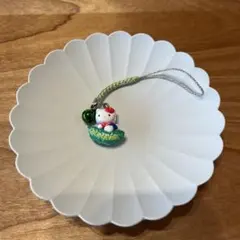 2025年最新】ゴーヤーバージョンの人気アイテム - メルカリ