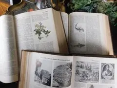 2026年最新】百科事典 洋書の人気アイテム - メルカリ