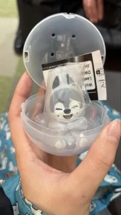 SKZOO ライトマスコット ガチャ　スキズ　StrayKids ウルフチャン