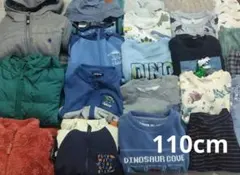 秋冬　アウター入り　110cm 男の子　まとめ売り　アウター　恐竜　22点