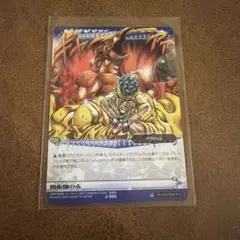 ジョジョの奇妙な冒険 ABCカード アヴドゥル J-505