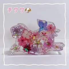 No.483⭐️固まるハーバリウム✨️ チワワ 置物