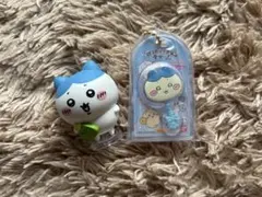 ハチワレのサムネイル