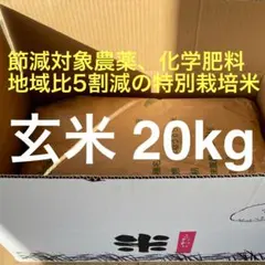 令和7年産こだわりのお米 特別栽培米　コシヒカリ 玄米 20kg（10kg×2）のサムネイル