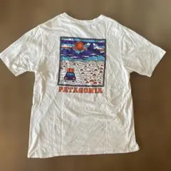 PATAGONIA オーガニックコットン Tシャツ Mサイズ　サミット　ロード