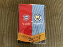 AudiFootballSummit対戦記念ペナント マンチェスターシティ