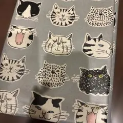 生地　ハギレ　ラミネート　ミヤコカワグチ