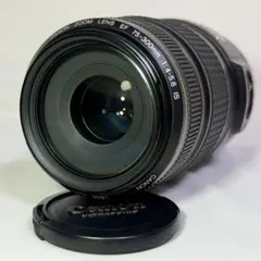 2026年最新】EF 75-300mm F4-5.6 isの人気アイテム - メルカリ
