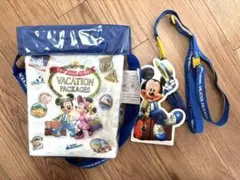 ディズニー バケパ 限定 ポップコーンケース パスケース セット バケット