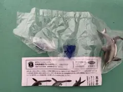 Item thumbnail for item 71ff4a06-0ffd-4462-a0b9-c5543c6a3e92