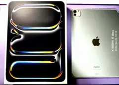 iPad Pro 11インチ M4 256GB Wi-Fi＆Cellular