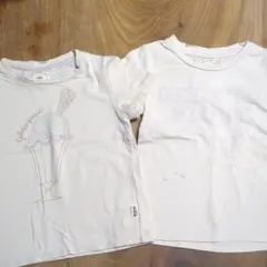 ジェラートピケ　Tシャツ2枚（同封可なら無料）