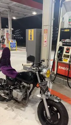 エイプ 100 50チンチラシート紫 - メルカリ