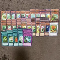 No.18763 遊戯王 ナチュル デッキパーツ デュエルターミナル多数