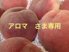 山梨の甘い桃　特大サイズを6個詰めて発送　料金据え置き　ももやのきよし