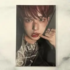 &TEAM BtL 韓国 pop up 特典 トレカ HARUA