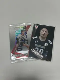 バレーボール男子日本代表 モバガチャ 山本智大 カード ステッカー