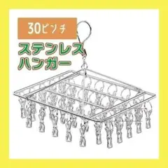 シルバー ステンレスハンガー ピンチハンガー 洗濯ばさみ 30ピンチ 物干し