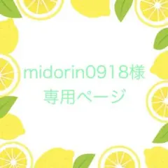 midorin0918様 リクエスト 10点 まとめ商品