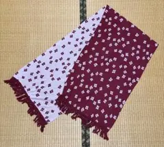 Item thumbnail for item 1fdc56f0-c6a7-466f-b7bc-09d3d1d47e5d