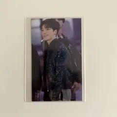 SECTOR17 ディノ トレカ