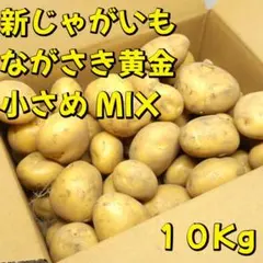 新じゃがいも じゃがいも ばれいしょ 野菜 10kg メークイン - メルカリ