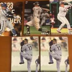 カルビー プロ野球チップス 2024カード 5枚セット