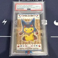 ポンチョを着たピカチュウ☆名刺カード メガルカリオのポンチョを着た