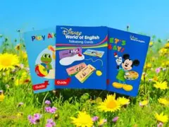 Disney World of English Talkalong Cards
