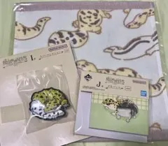 1番くじ 爬虫類＆両生類 レオパセット ヒョウモントカゲモドキ