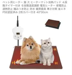 Item thumbnail for item d7fb599f-7d64-45e6-839f-41fd1d20159a