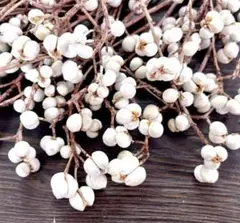 margaret様 リクエスト 2点 まとめ商品