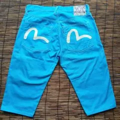 夏色　EVISU エビス　ハーフパンツ　白カモメ　ブルー　Lot2005　W34のサムネイル