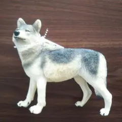 2026年最新】リアル ぬいぐるみ オオカミの人気アイテム - メルカリ