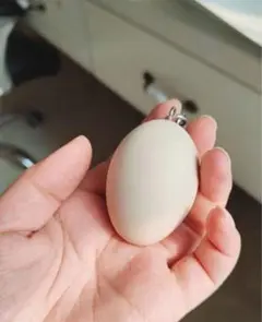 リアル卵キーホルダー