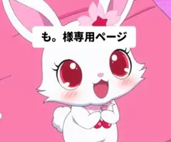 も。様専用ページ